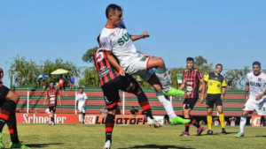 patronato-agropecuariowebp